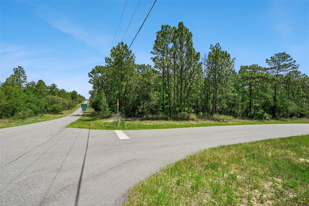 An asphalt road intersection is surrounded by a dense forest under a clear blue sky — 4181 W MALALUKA CIRCLE, CITRUS SPRINGS, FL
