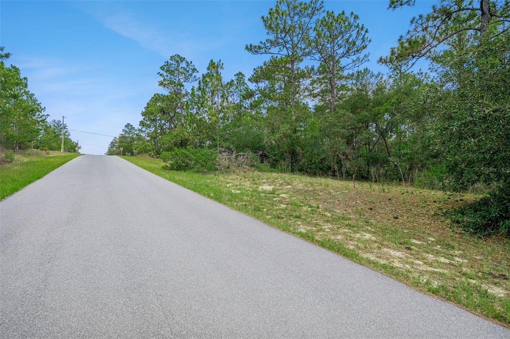 A paved road leads uphill past a wooded lot with sandy ground and pine trees — 4181 W MALALUKA CIRCLE, CITRUS SPRINGS, FL