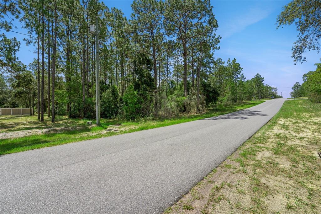 A paved road runs alongside a wooded lot with a utility pole in the foreground — 4181 W MALALUKA CIRCLE, CITRUS SPRINGS, FL