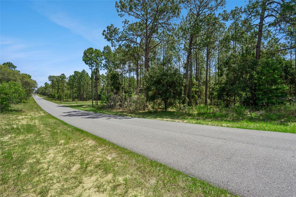 A paved road stretches through a wooded area under a clear blue sky — 4181 W MALALUKA CIRCLE, CITRUS SPRINGS, FL