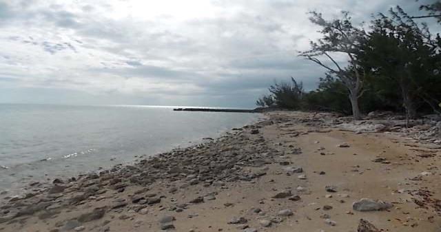 A rocky beach shoreline meets the ocean under a cloudy sky with trees nearby — THE CROSSING The Crossing Queen's Highway, FL, FL