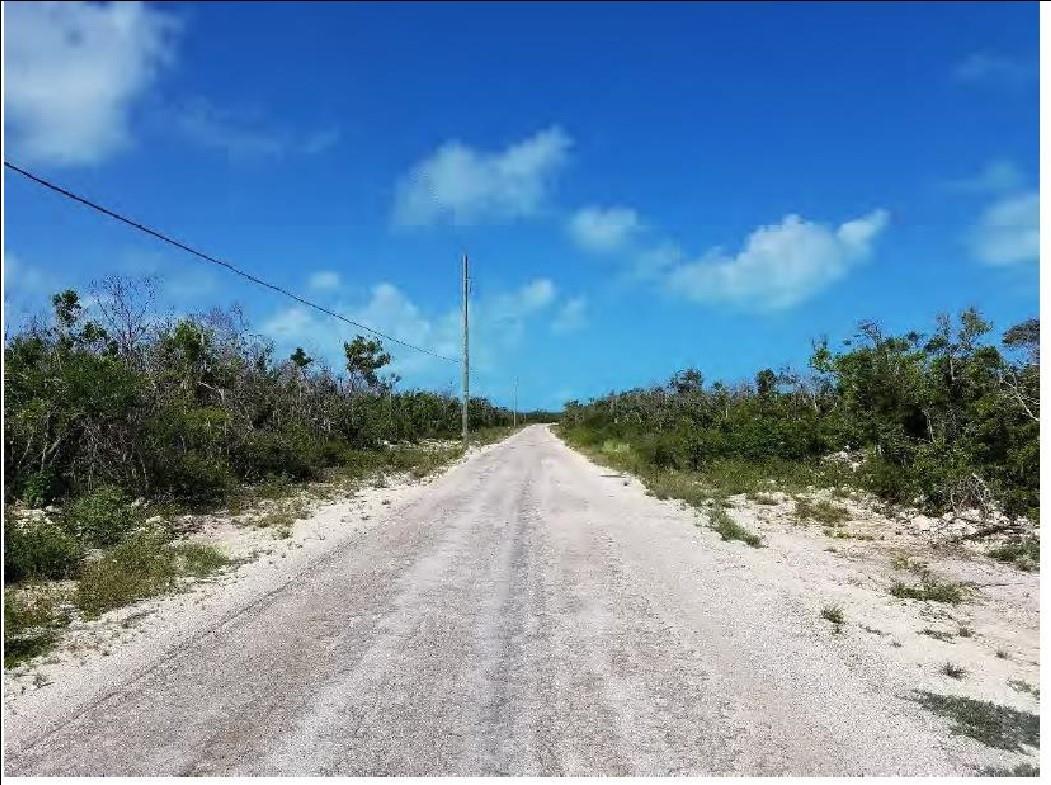 A gravel road stretches through a landscape of low-lying brush under a blue sky — THE CROSSING The Crossing Queen's Highway, FL, FL