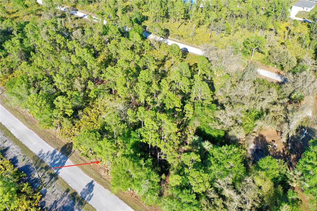 An aerial view shows a wooded, undeveloped residential lot bordered by a paved road — 3310 SLATER STREET, PORT CHARLOTTE, FL