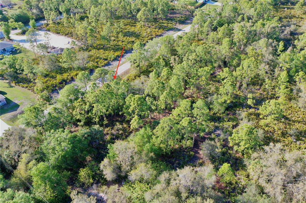 An aerial view shows a wooded, undeveloped rectangular lot with a red arrow pointing down — 3310 SLATER STREET, PORT CHARLOTTE, FL