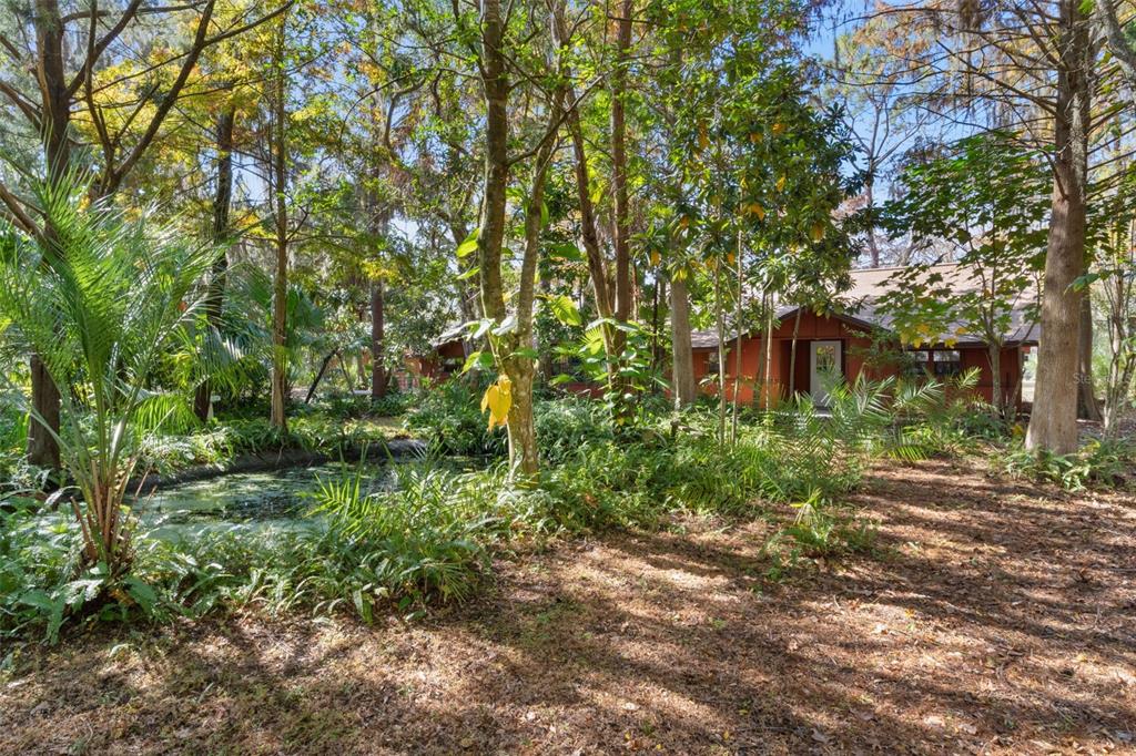 6250 & 5942 E C 478, CENTER HILL, FL — photo 3 of 30