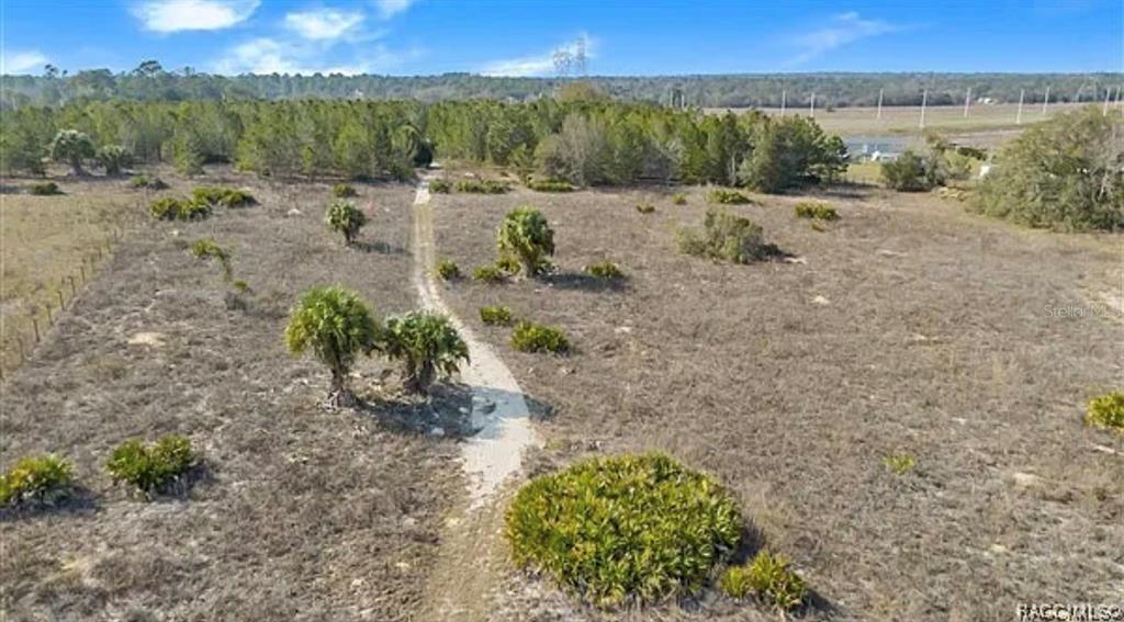 An aerial view shows a dirt path winding through a grassy, sparsely wooded vacant lot — 6292 GEORGIAN RD, HOMOSASSA, FL