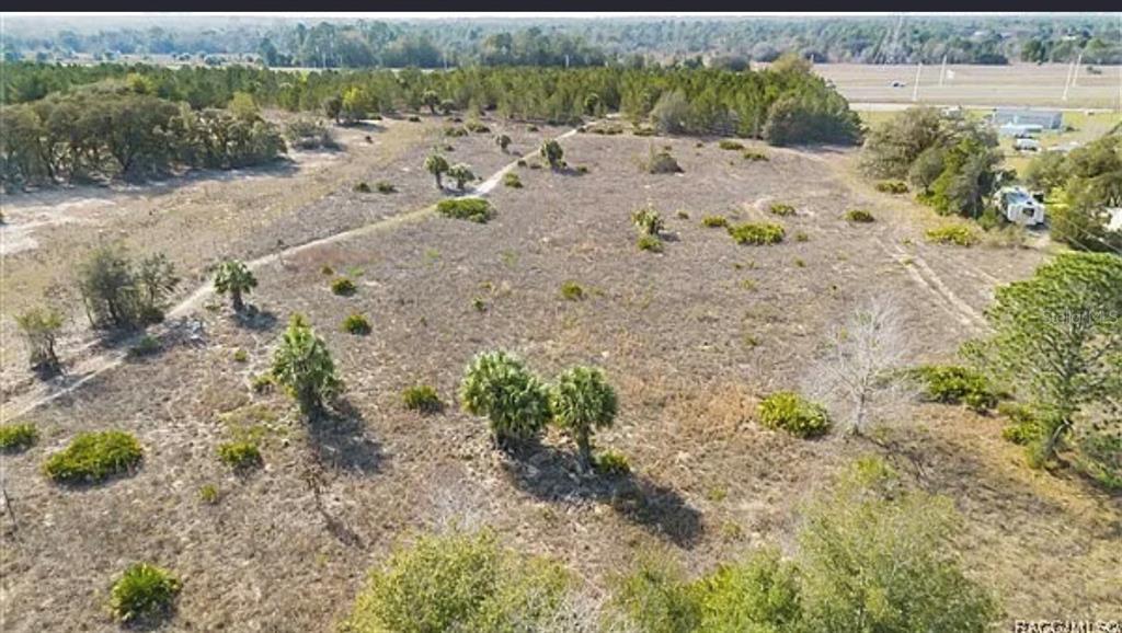 An aerial view shows a large, undeveloped grassy lot with scattered trees and shrubs — 6292 GEORGIAN RD, HOMOSASSA, FL