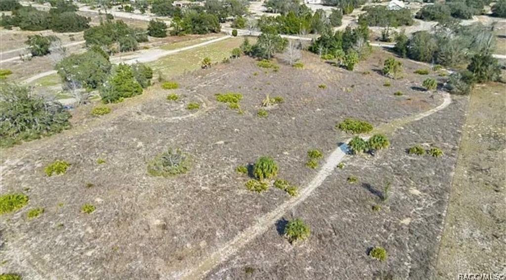 An aerial view shows a vacant, grassy lot with scattered shrubs and trees — 6292 GEORGIAN RD, HOMOSASSA, FL