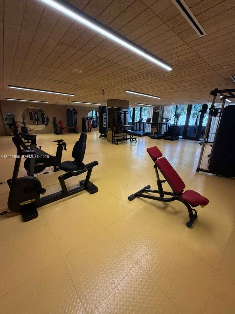 This gym features various exercise machines, a punching bag, and light-colored flooring — 3100 1st # 515, Miami FL 33137, MIAMI, FL