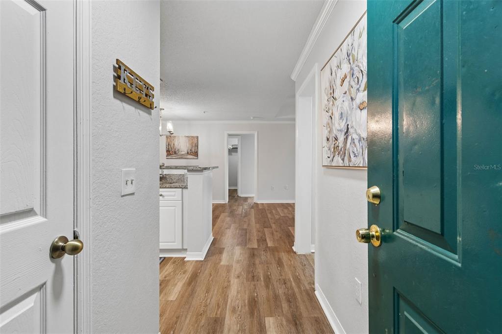 An entryway leads into a kitchen and hallway with light wood-look flooring and white walls — 18001 RICHMOND PLACE DRIVE UNIT 1030, TAMPA, FL