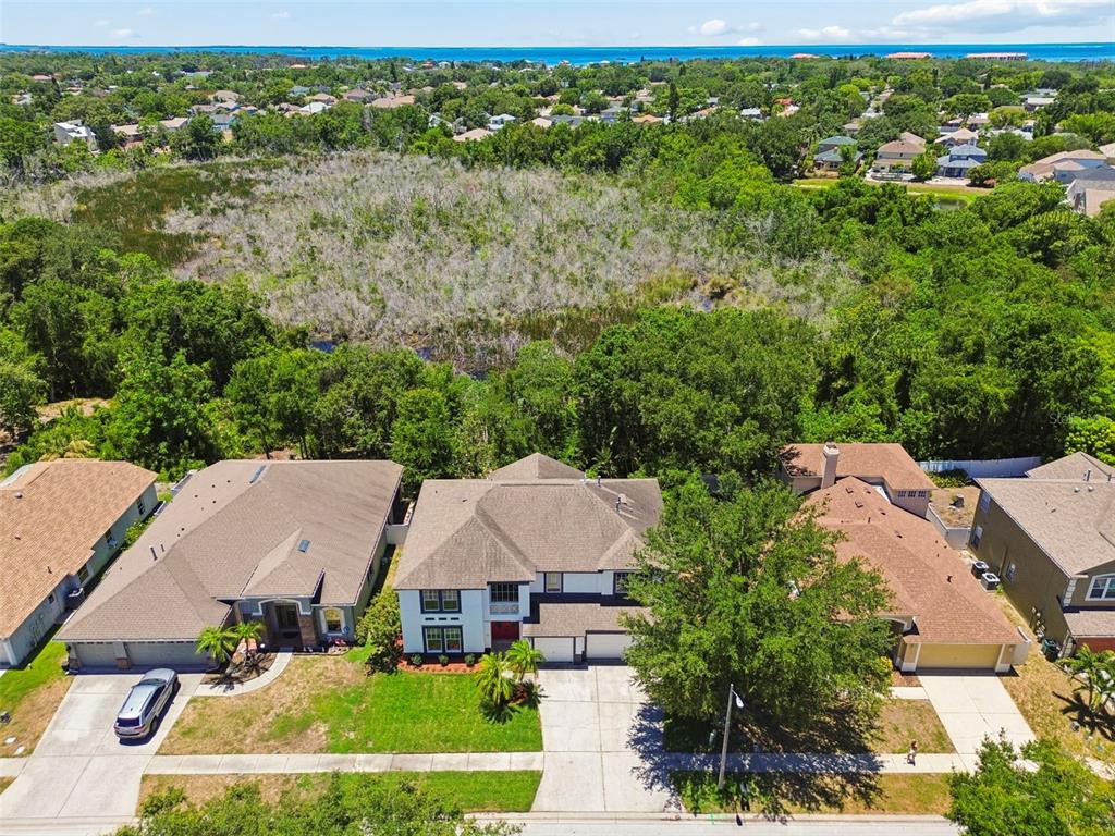 An aerial view shows a suburban house with a large backyard bordering a wooded wetland — 1828 LONGVIEW LANE, TARPON SPRINGS, FL