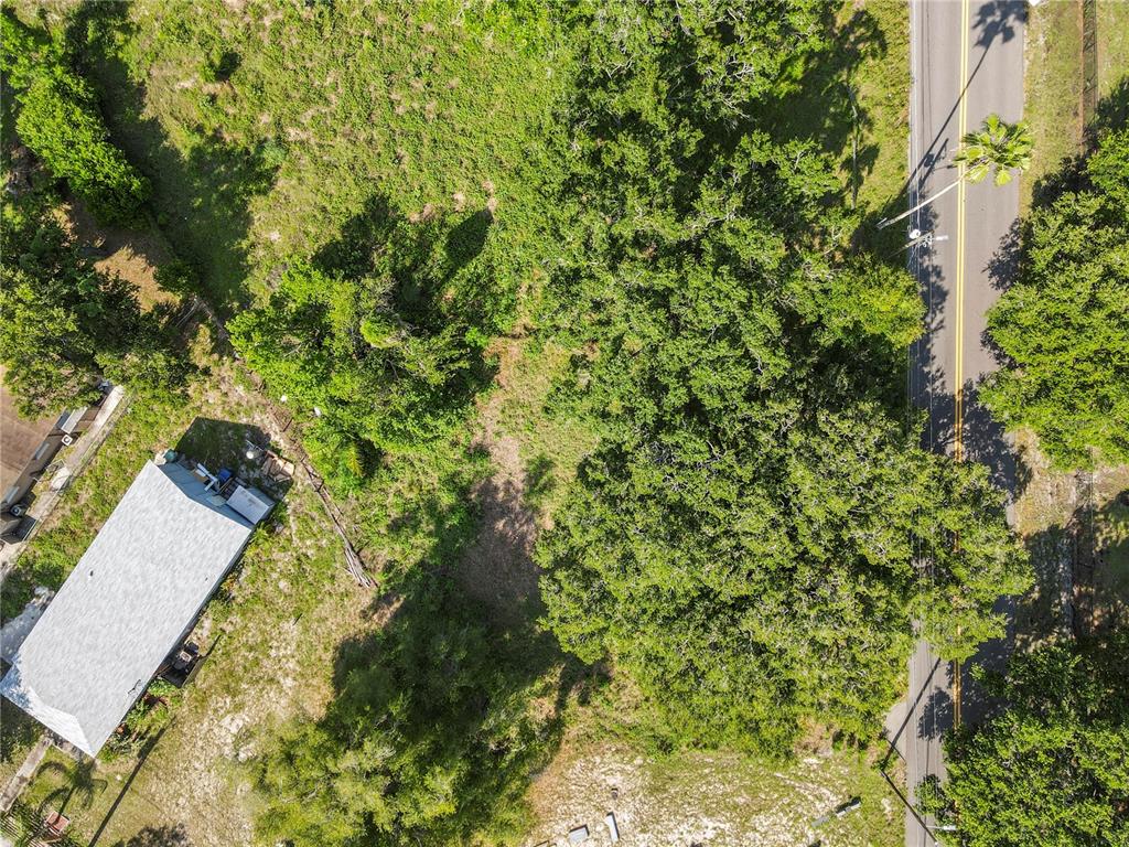 An aerial view shows a grassy lot with several large trees next to a road — 4617 E LAKE AVENUE, TAMPA, FL