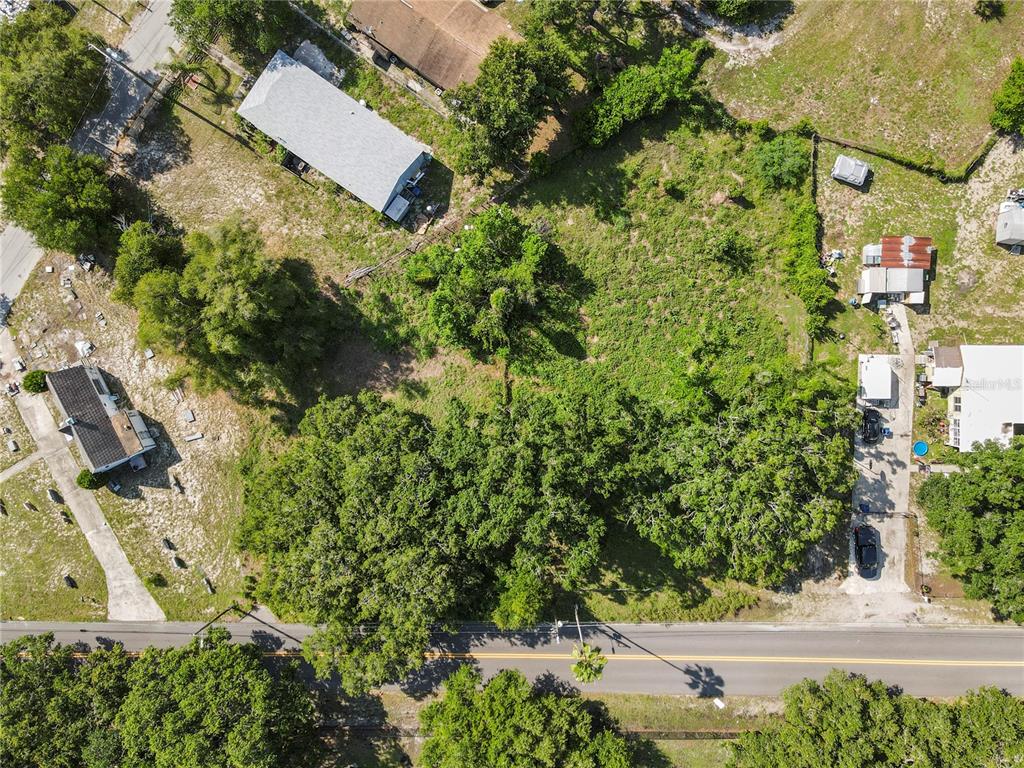 An aerial view shows a vacant, tree-covered lot situated between several residential properties and a road — 4617 E LAKE AVENUE, TAMPA, FL