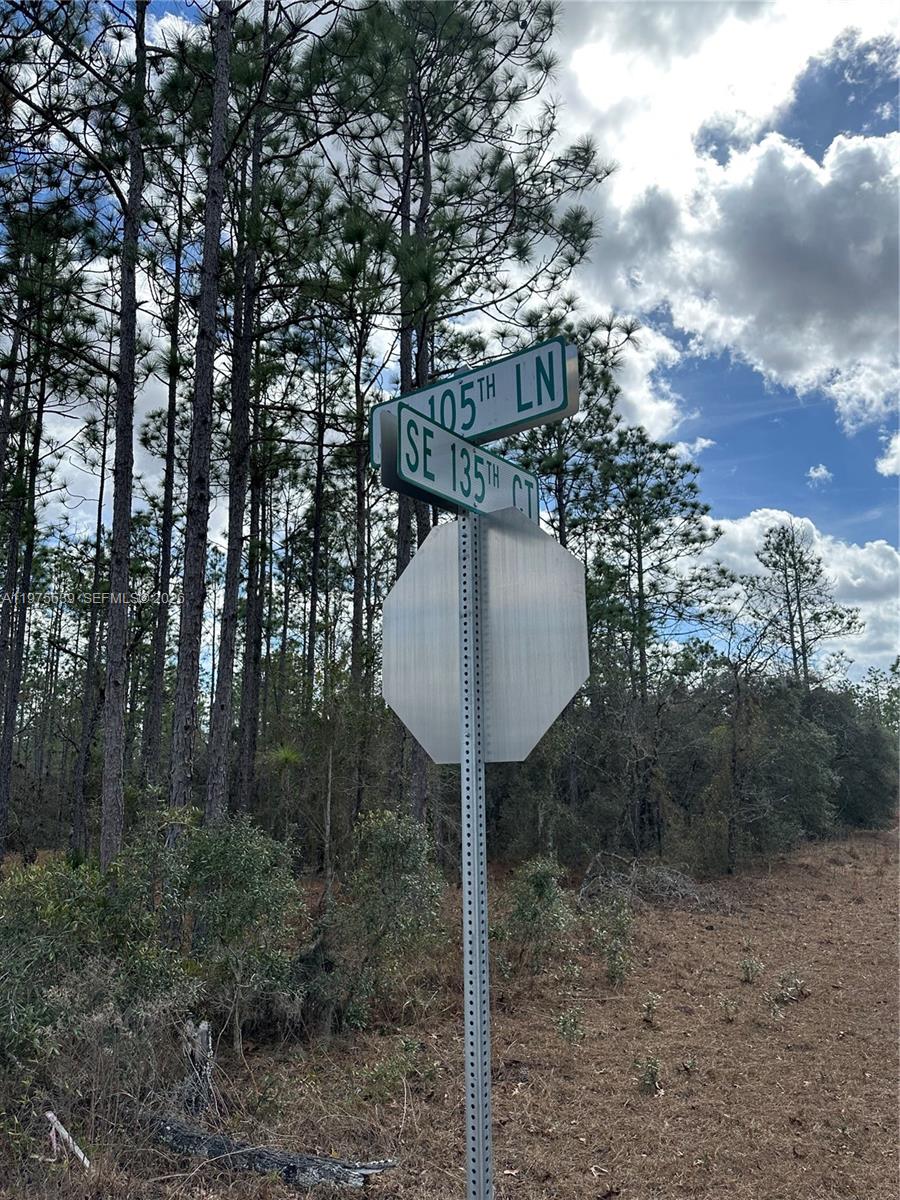 A street sign for 105th Lane and SE 135th Court stands before a wooded area — OTHER CITY - IN THE STATE OF FLORIDA, FL