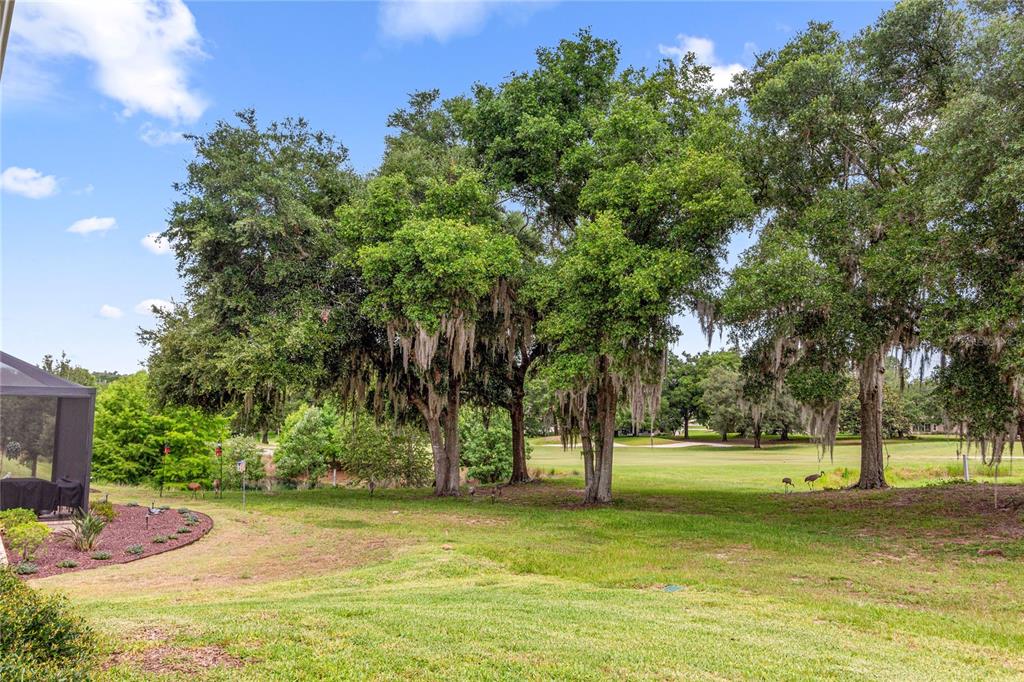 A grassy backyard features large oak trees with Spanish moss overlooking a golf course — 5090 GREENS DRIVE, LADY LAKE, FL