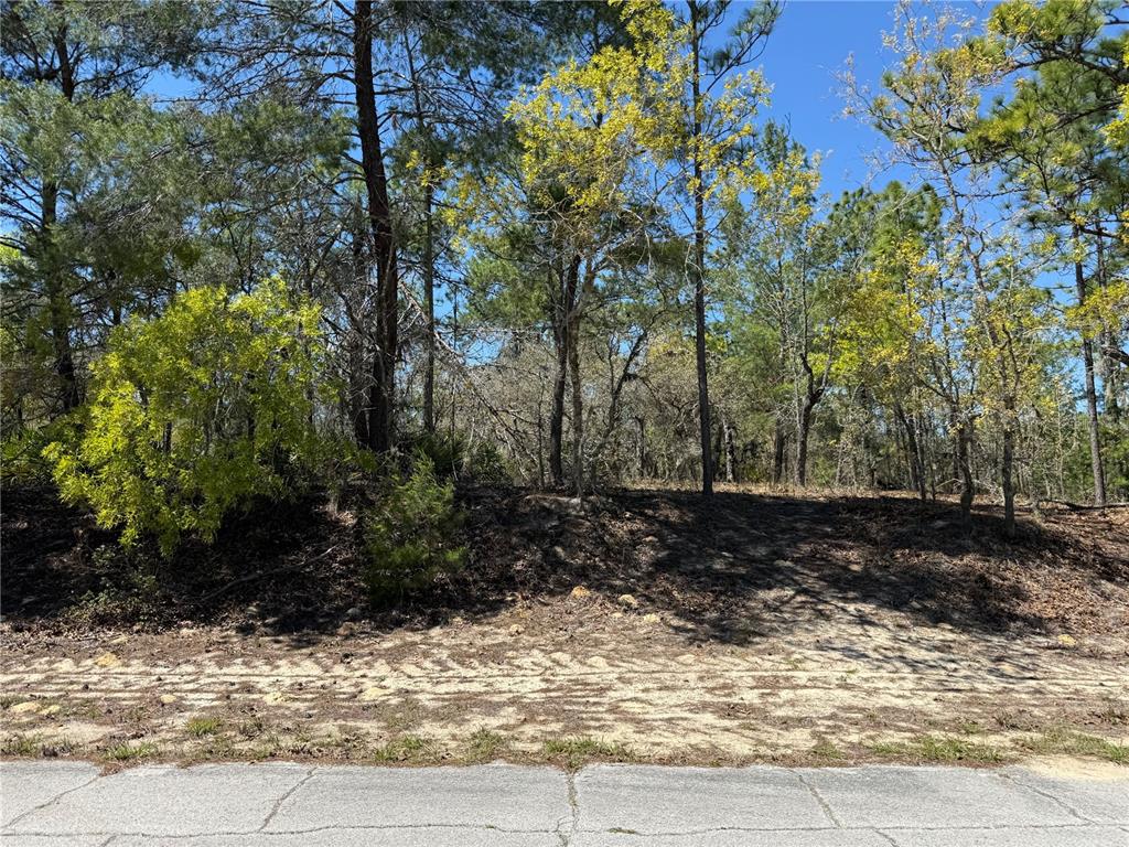 A vacant, wooded residential lot sits behind a paved road under a clear blue sky — 10776 N MORENO DRIVE, DUNNELLON, FL