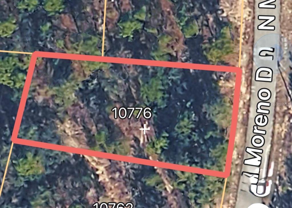 This is an aerial map view showing a rectangular plot of land outlined in red — 10776 N MORENO DRIVE, DUNNELLON, FL