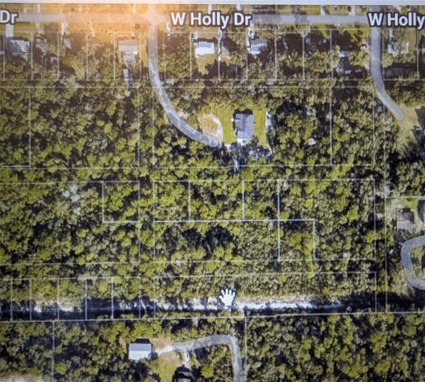 This aerial map shows a wooded residential area with multiple vacant lots along a road — NELSON AVENUE, ORANGE CITY, FL
