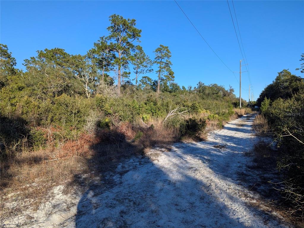 A sandy dirt path leads through a wooded area with tall pine trees and power lines — NELSON AVENUE, ORANGE CITY, FL