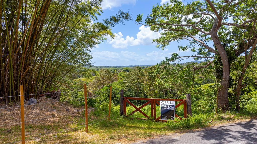 A wooden gate and wire fence border a grassy lot overlooking a lush, forested valley — BO. VALENCIANO, JUNCOS, PR