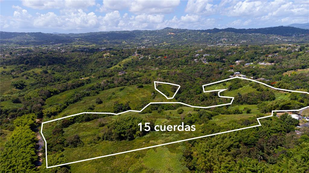 An aerial view shows a large, hilly plot of land outlined in white — BO. VALENCIANO, JUNCOS, PR