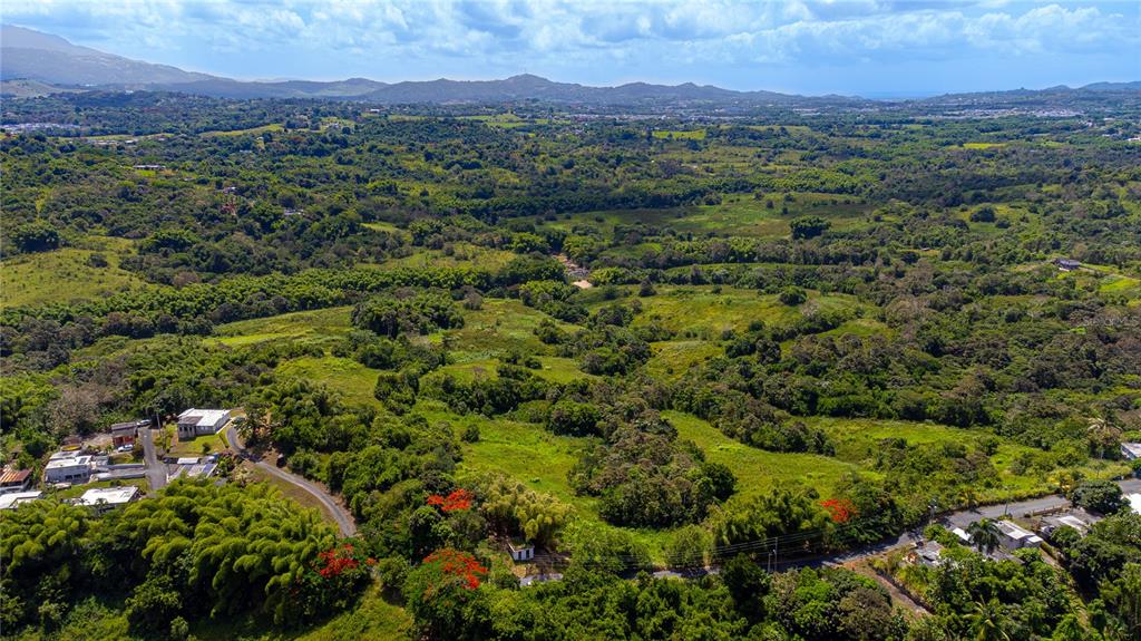 An aerial view shows a lush, hilly landscape with scattered houses and dense green vegetation — BO. VALENCIANO, JUNCOS, PR