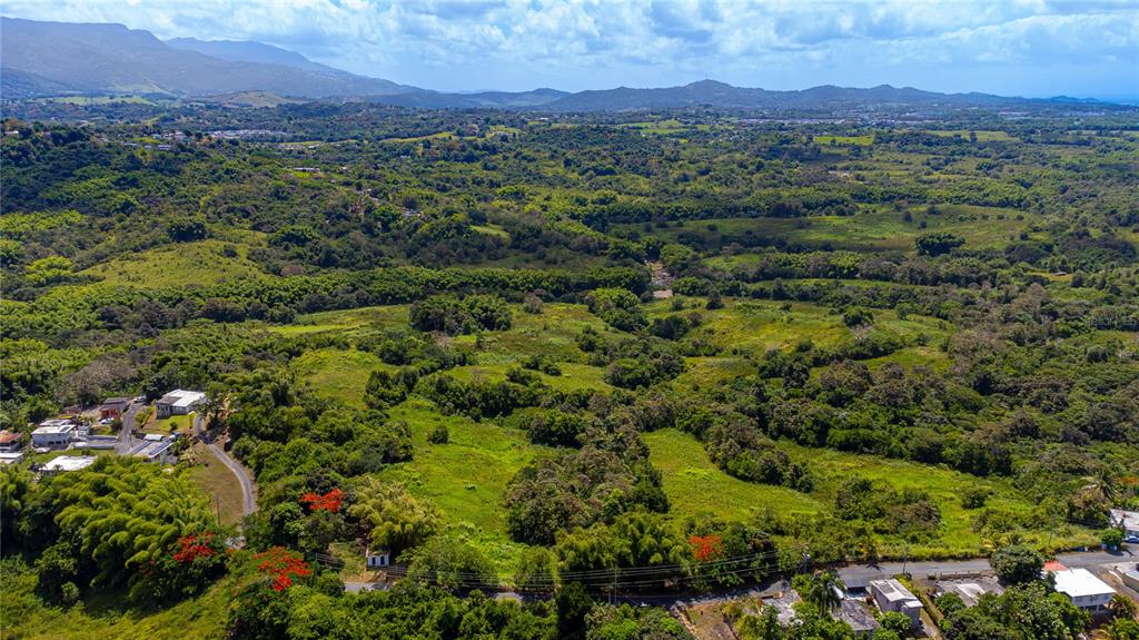 An aerial view shows a lush, hilly landscape with scattered houses and dense green vegetation — BO. VALENCIANO, JUNCOS, PR