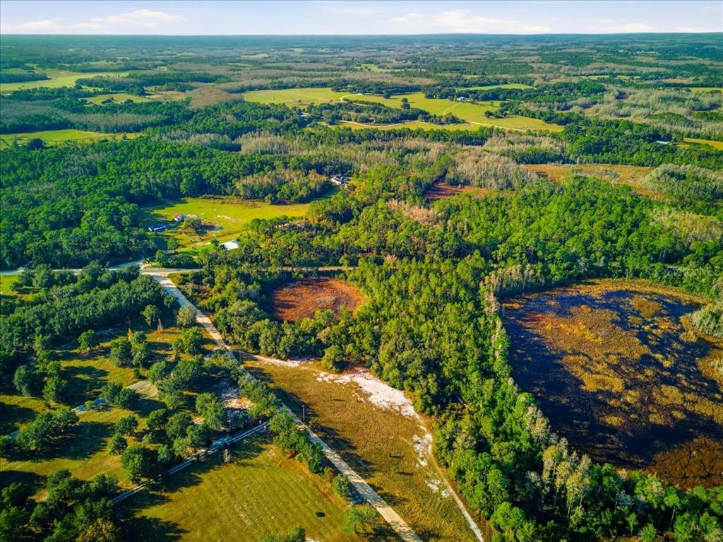 An aerial view shows a rural landscape with a dirt road, forest, and a large pond — LAKE ERIE RD, GROVELAND, FL