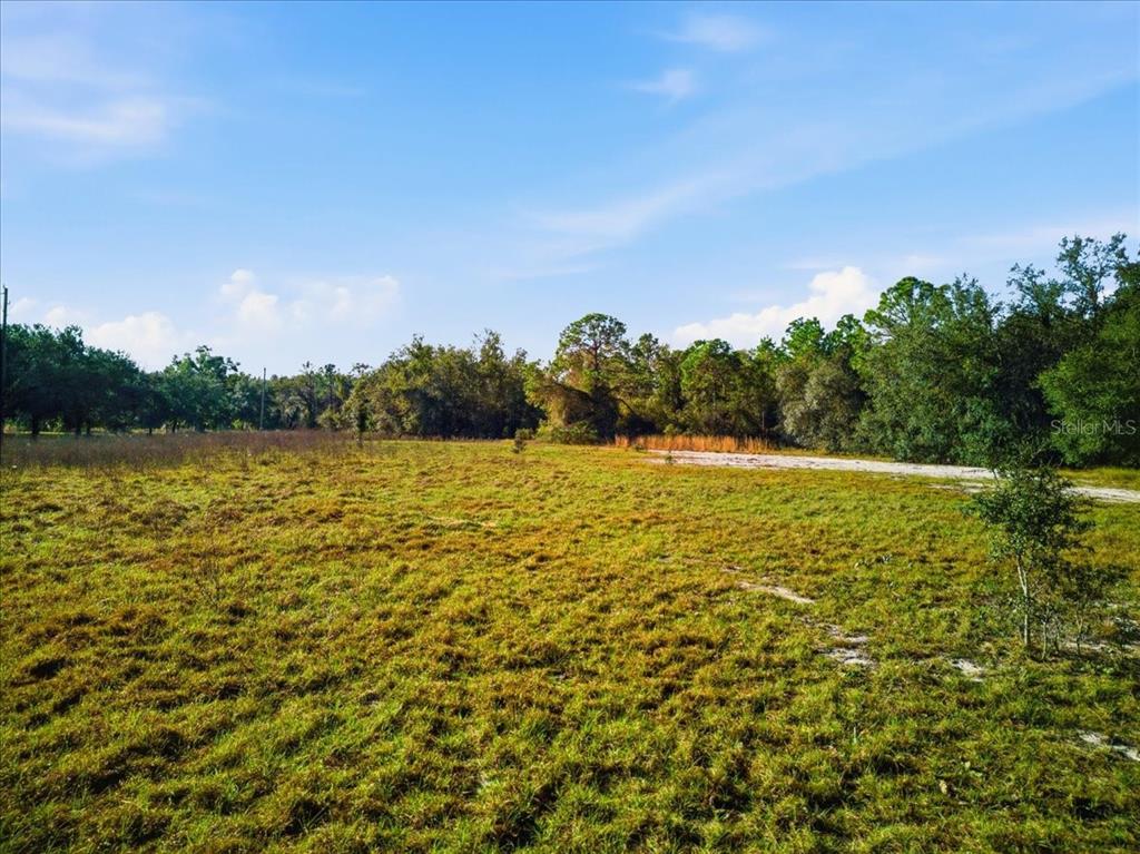 A grassy, open field is bordered by a dense line of trees under a blue sky — LAKE ERIE RD, GROVELAND, FL