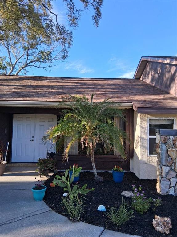 A front exterior view of a house featuring a palm tree, landscaping, and double doors — 6231 WAYSIDE COURT, SPRING HILL, FL