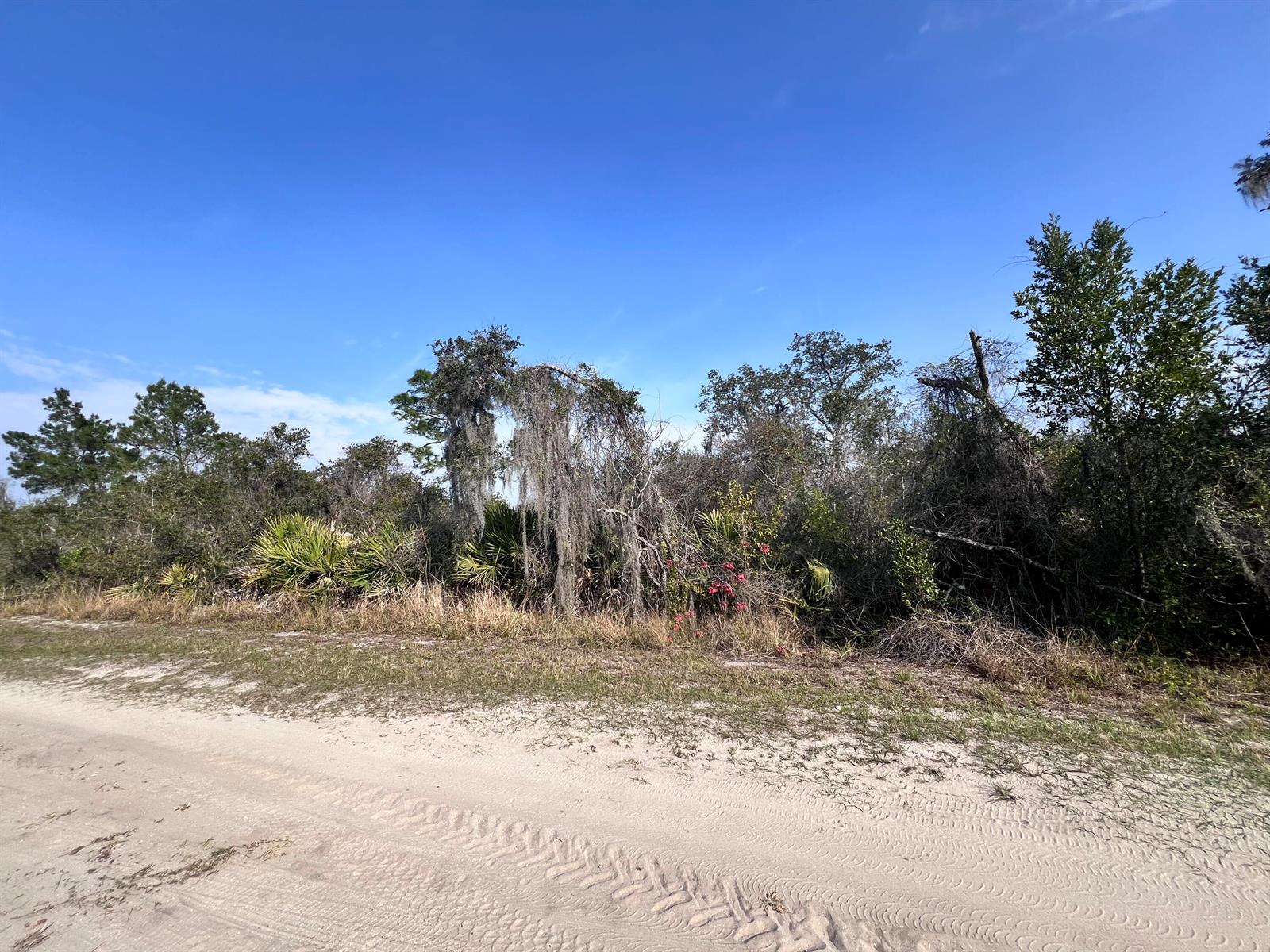 A dirt road runs in front of a wooded area with trees draped in Spanish moss — 400 Nightingale Avenue, FL 33870, FL