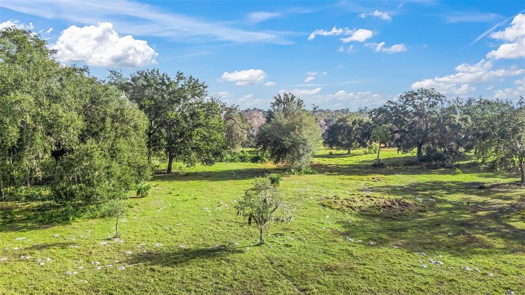 An aerial view of a grassy, open field surrounded by mature trees under a blue sky — TRACT 3 - CR 221, WILDWOOD, FL