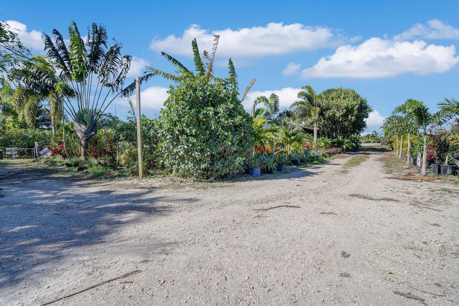 A dirt path leads through a nursery filled with various tropical plants and palm trees — 6747 Carol Street, Loxahatchee FL 33470, LOXAHATCHEE, FL