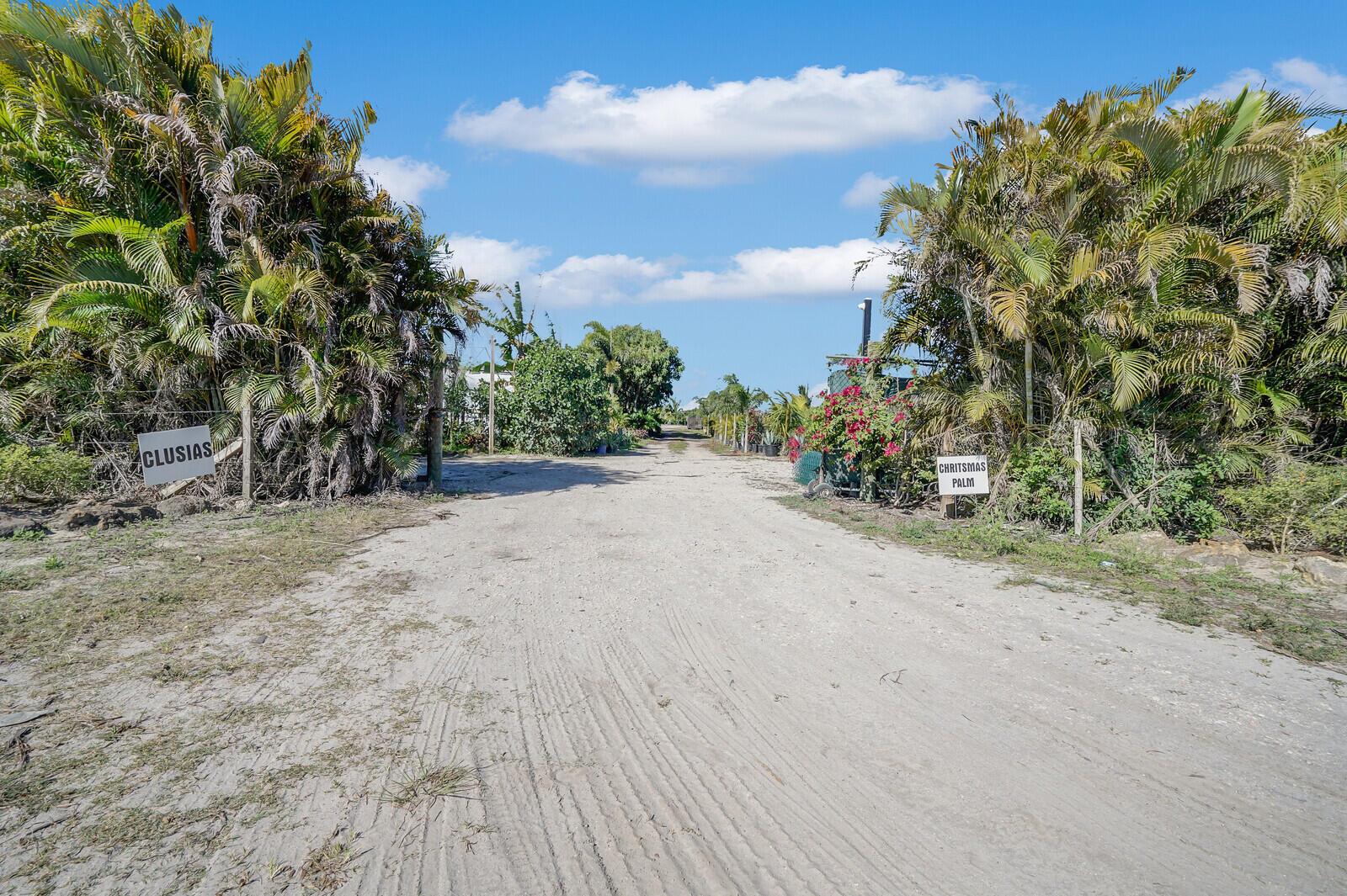 A dirt path leads through a plant nursery with signs labeled Clusias and Chritsmas Palm — 6747 Carol Street, Loxahatchee FL 33470, LOXAHATCHEE, FL