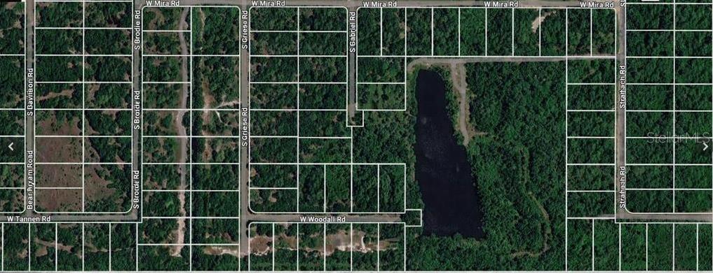 This aerial map shows a residential area with undeveloped wooded lots and a small lake — 3000 W WOODALL ROAD, AVON PARK, FL