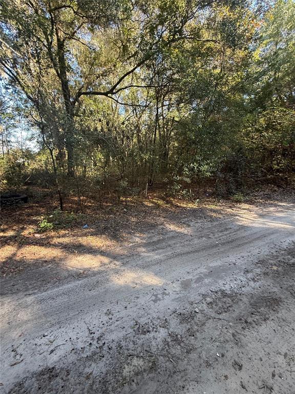 A dirt road runs alongside a wooded area with dense trees and underbrush — SW 148TH CT 32ND PLACE, OCALA, FL