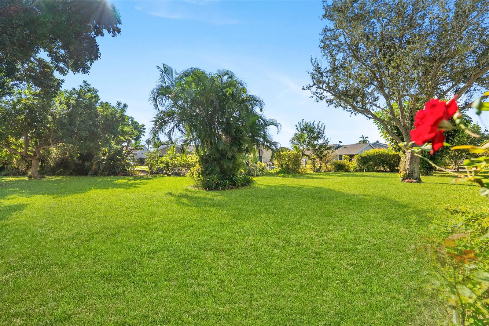 A large, grassy backyard features a central palm tree and mature trees under a sky — 1940 NW 13th Street # a, Delray Beach FL 33445, DELRAY BEACH, FL