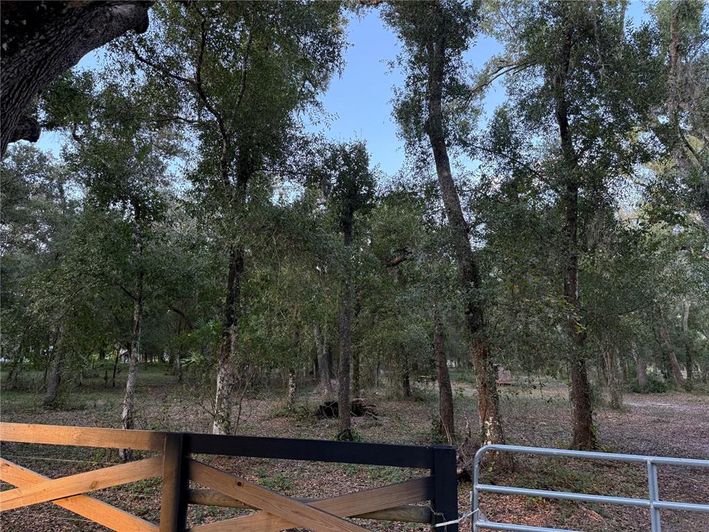 A view of a wooded lot seen through a wooden and metal gate — SE BROWN ROAD, ARCADIA, FL