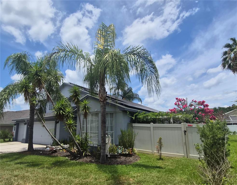 A gray house with a palm tree in the front yard and a white fence — 3244 AMACA CIRCLE, ORLANDO, FL