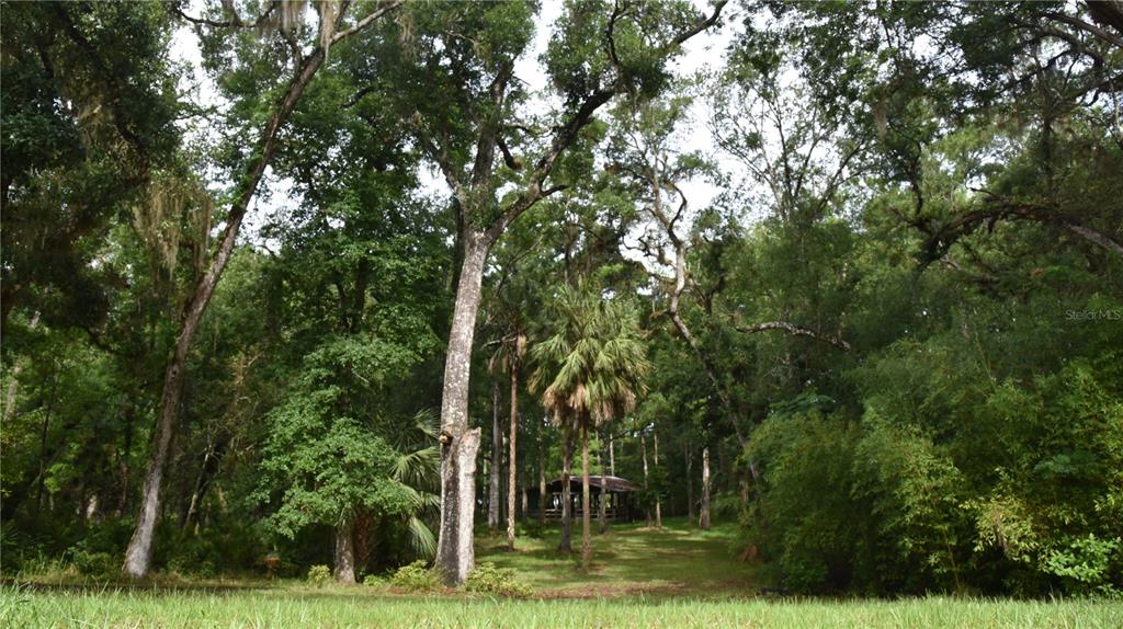 A small wooden structure sits in a clearing surrounded by tall trees and lush vegetation — 8650 NW 136TH AVENUE, CHIEFLAND, FL