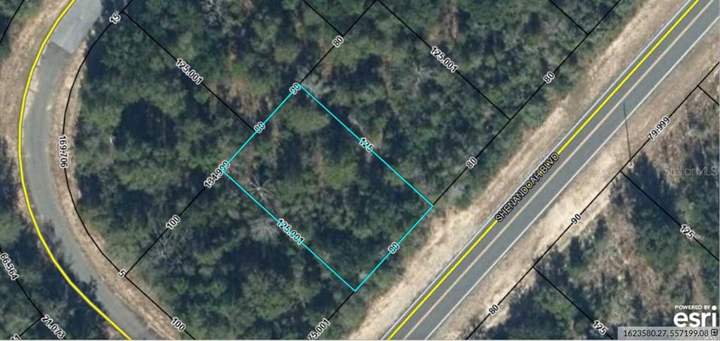 This is a satellite map view showing a rectangular plot of land outlined in blue — Lot 10 Unit 2 Blk 257 SHENANDOAH BOULEVARD, CHIPLEY, FL