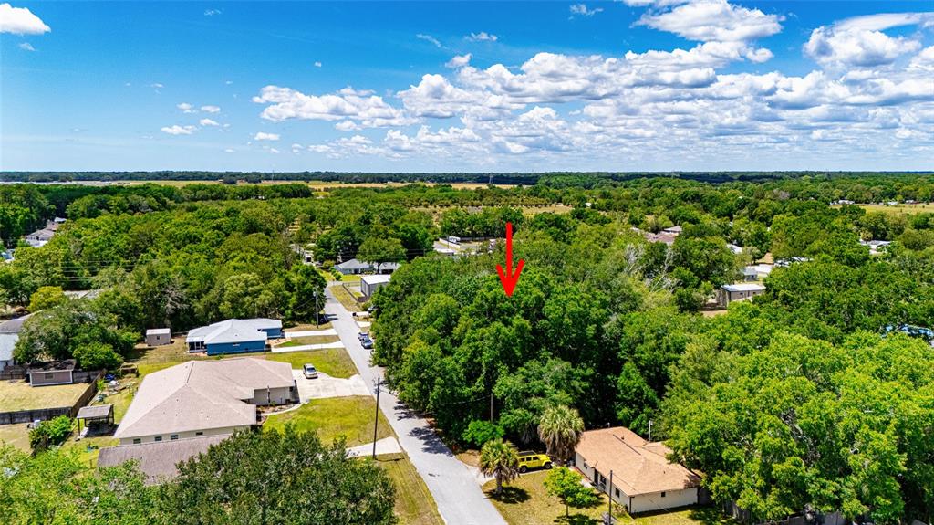 An aerial view shows a wooded residential lot marked by a red arrow — SE 157TH ST, SUMMERFIELD, FL