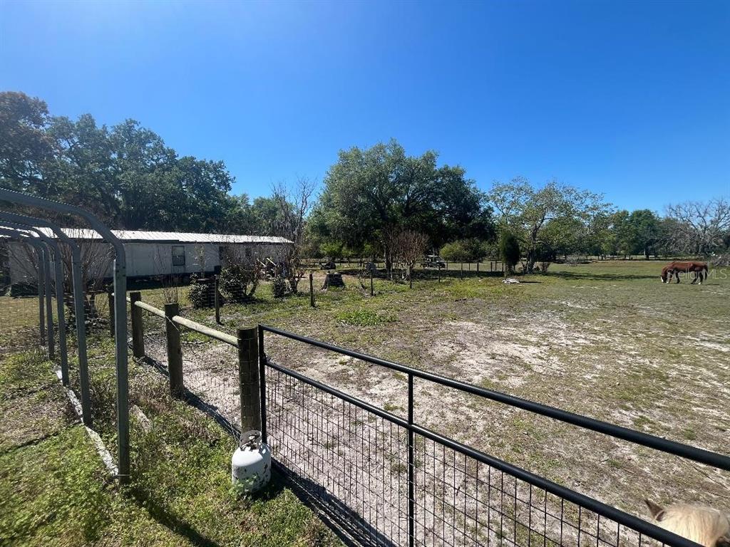 A fenced pasture with a horse, a mobile home, and trees under a clear sky — 28538 RICE ROAD, SAN ANTONIO, FL