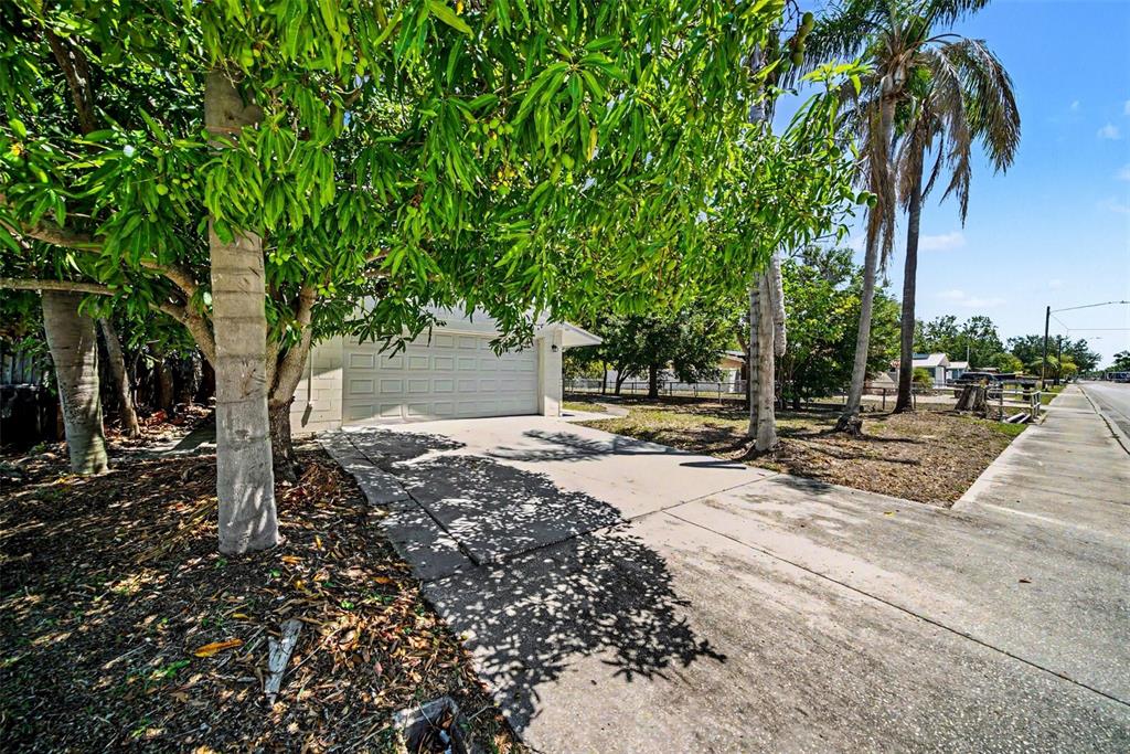 A concrete driveway leads to a single-car garage shaded by large trees and palms — 5301 82ND AVENUE N, PINELLAS PARK, FL
