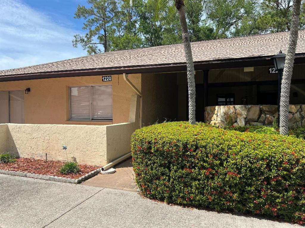 A tan stucco building exterior features a window, a stone wall, and a large hedge — 1220 13TH CIRCLE SE, LARGO, FL