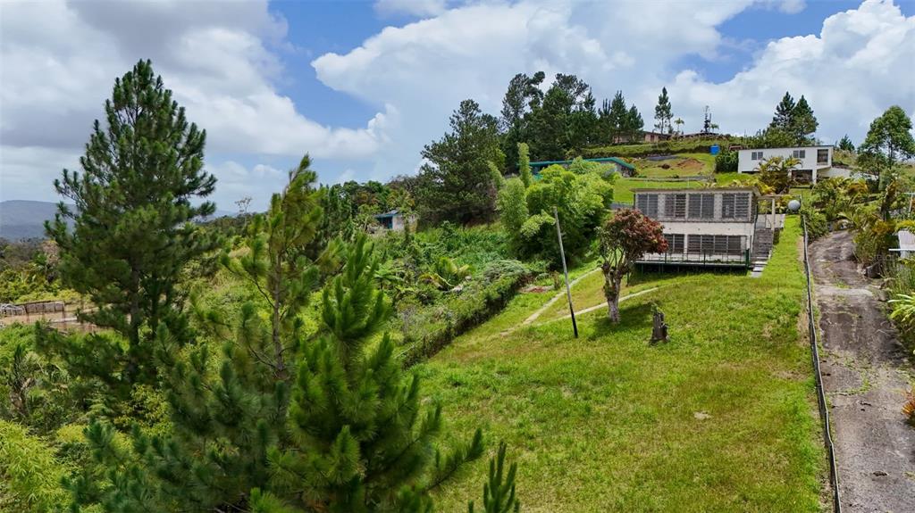 A two-story house sits on a grassy hillside with a driveway and surrounding trees — #143 BO ANON, UNIT 5, PONCE, PR