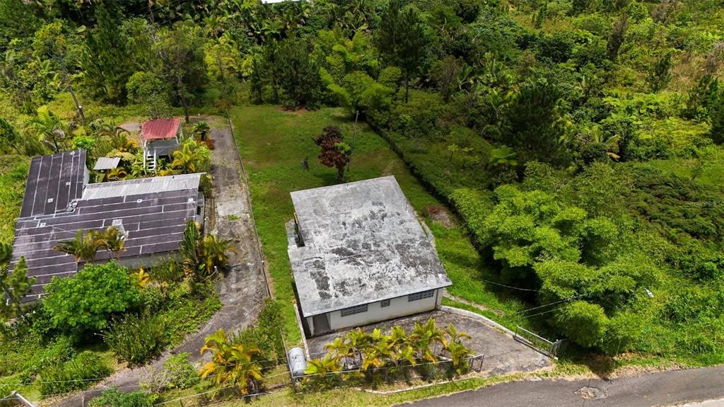 An aerial view shows two houses on a lot surrounded by dense green vegetation — #143 BO ANON, UNIT 5, PONCE, PR