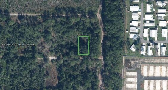 This aerial map shows a rectangular plot of land outlined in green amidst wooded terrain — 207 DUNLIN AVE, Sebring FL 33870, SEBRING, FL
