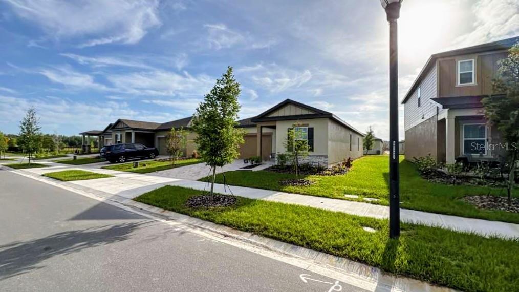 A street view shows several single-story and two-story suburban houses with manicured lawns — 2449 GREY HAWK DR, KISSIMMEE, FL