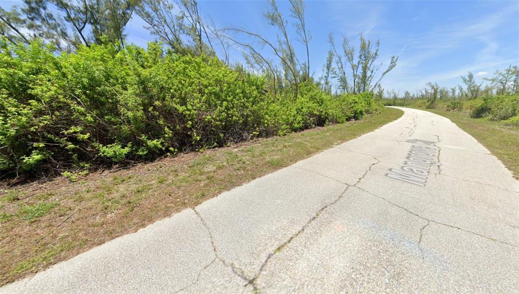 A paved road winds through a landscape of dense green bushes and tall, thin trees — 10543 MANGROVE CIRCLE, PORT CHARLOTTE, FL